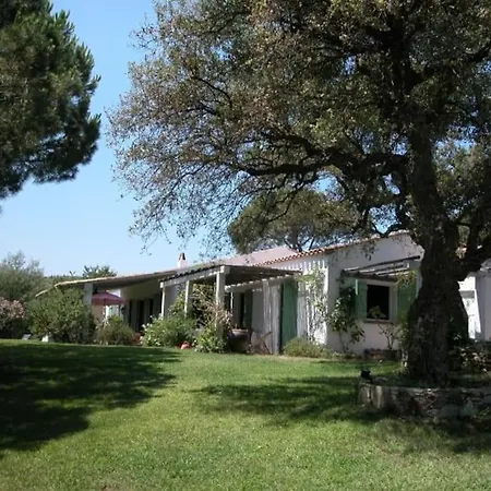 Grand Mas Avec Piscine Sur Ramatuelle-saint-tropez Villa Ramatuelle
